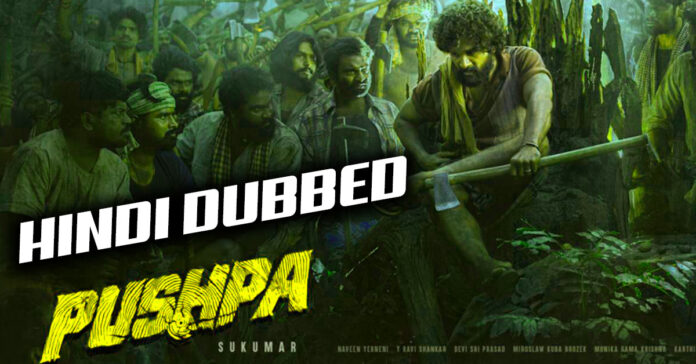 Pushpa full movie download in hindi 480p